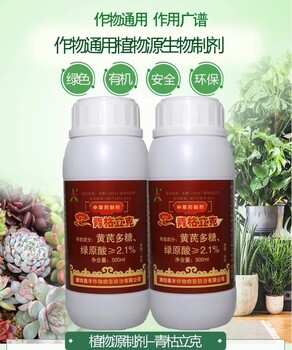 草莓黃萎病防治措施