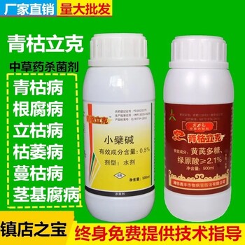 有機(jī)種植：三七根腐病藥