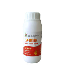 番茄周年用肥、用药方案图片