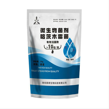 露天春天黃瓜苗期容易出現(xiàn)哪些問題