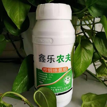 广谱杀菌剂柠铜络氨铜治番茄青枯病溃疡病