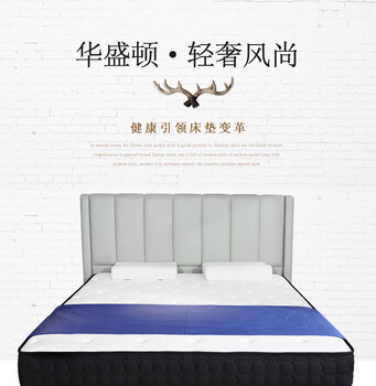 珞珂品牌床垫乳胶床垫软床厂家供应1685型号做工优良时尚简约