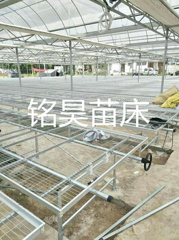 苗床价格、苗床网批发