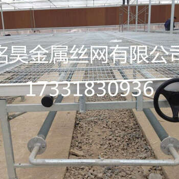 苗床苗床網(wǎng)銘昊苗床銷售