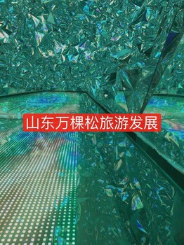 網(wǎng)紅館抖音隧道全國銷售