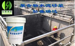 浙江杭州上城聚合物水泥砂浆厂家图片1