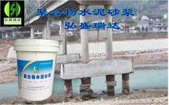 浙江杭州上城聚合物水泥砂浆厂家图片2