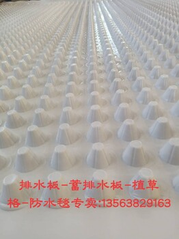 排水板塑料排水板聚乙烯排水板（高延伸型）泰安融创新材料有限公司