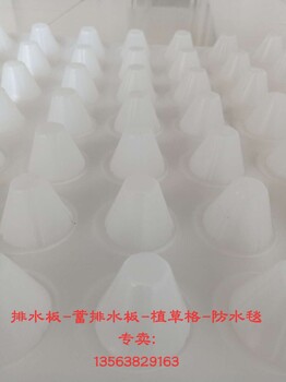 排水板塑料防水板聚乙烯凹凸板车库排水板H08-30mm高抗压高延伸耐腐蚀使用寿命长