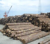 哪个港口适合进口原木木材