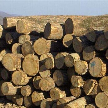 宁波进口原木木材海关商检查验费用是多少
