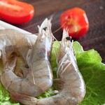 南美白虾进口进境动植检申请流程