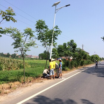 益陽太陽能路燈湖南路燈6米30瓦太陽能路燈廠家/太陽能路燈安裝