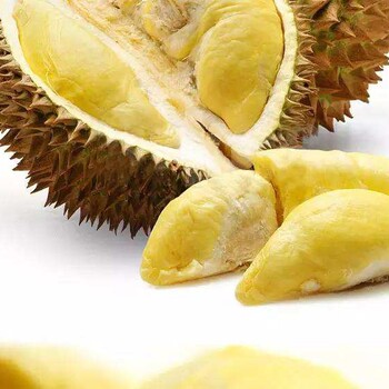 越南进口榴莲怎么进口报关/进口水果报关流程durian