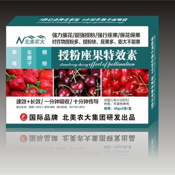 北美農大草莓車厘子櫻桃授粉座果素