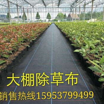 黑色编织布_防草布地钉_除草布_白色编织布价格厂家