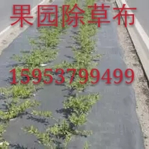 会理县土工布防草布哪里有卖除草布厂家电话