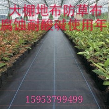 山楂除草防草用防草布__除草布果__园防草布批发