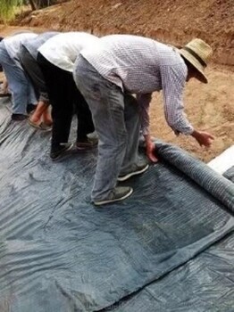 平谷2020年3000克防水毯德州卖鱼塘防水毯质量好