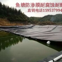 正宇复合膜,北京优质土工膜耐腐蚀耐酸碱图片