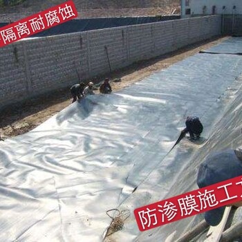 正宇鱼塘土工膜,湖南优质土工膜批发代理