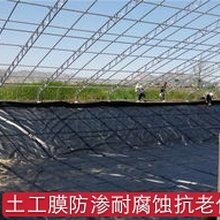 安徽复合土工膜品质优良,鱼塘土工膜图片