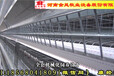 邯郸自动化养鸡设备金凤鸡笼养殖设备厂4列3层蛋鸡笼