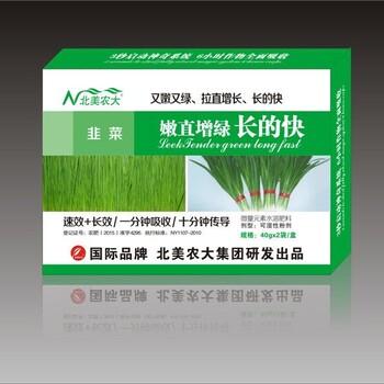 韭菜嫩直增綠長的快