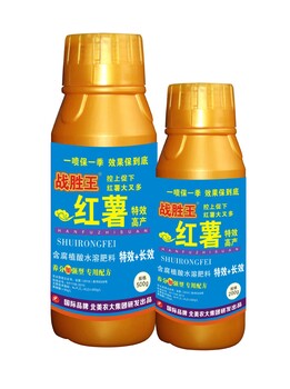 戰(zhàn)勝王紅薯高產(chǎn)