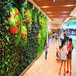北京绿植植物墙定做