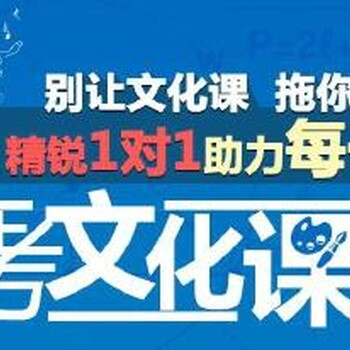 乌鲁木齐高三艺考生文化课补习学校_艺考生文化辅导