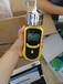有毒有害气体检测仪LB-BZ泵吸式仪器分析