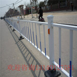 安阳汤阴道路护栏市政护栏隔离带人车隔离栏路中央隔离栏图片5