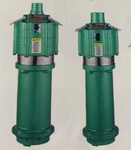 QD、Q系列小型潜水电泵(小老鼠泵）