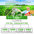 河南鄢陵縣硫酸亞鐵肥料哪里可以買到圖片