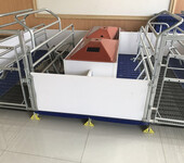 料线配件母猪产床现代化养殖机械母猪分娩产床配件双猪位产床