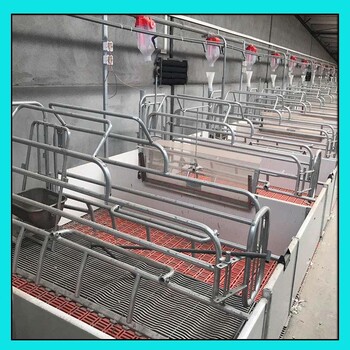 永邦厂家母猪保育产床全自动养猪设备母猪产床双猪位产床
