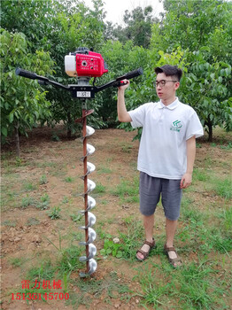 現(xiàn)代生產(chǎn)小型電線桿挖坑機種樹打洞