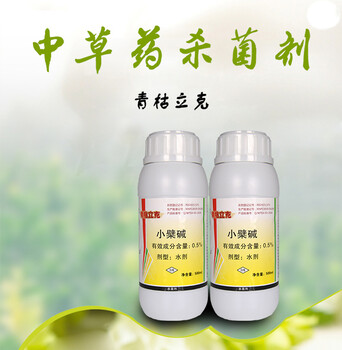 草莓根部病害用藥和防治