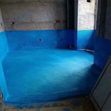 鹤壁卫生间防水水泥基防水涂料js防水涂料施威克防水厂家直销图片