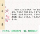 剑阁代做项目策划书/商业计划书模板图片