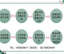 西城编写项目计划书模板专业公司