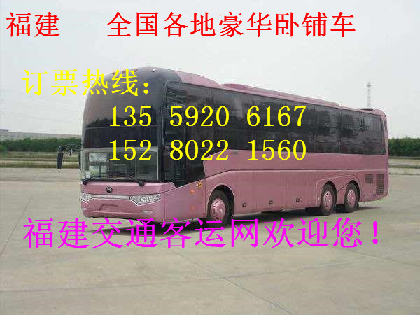 )长乐到青岛)的直达客车(约几个小时)汽车多久/多少钱?