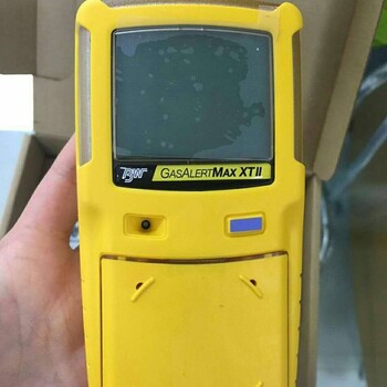 BWMAXXTII二型四合一便携式气体分析仪