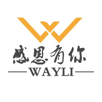 美国WAYLI海外仓退货换标一件代发切尔西的前仓库出售