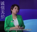 美国WAYLI亚马逊代运营托管SEO战略图片