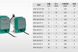 意大利DOSEURO道茨A-250N-54柱塞式计量泵