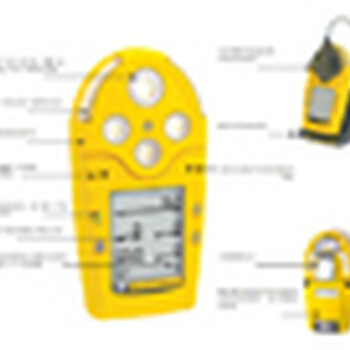 加拿大BW五合一气体检测仪M5