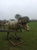 恐龍展出租優質恐龍展租賃價格恐龍展廠家恐龍展出售