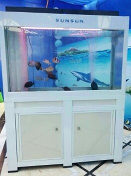 海洋生物展出租海洋展价格